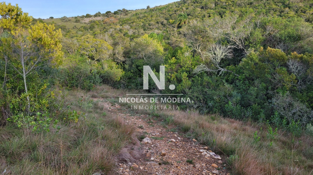 Chacra