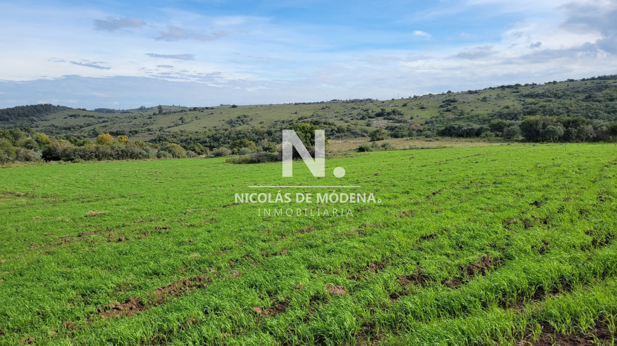 Chacra