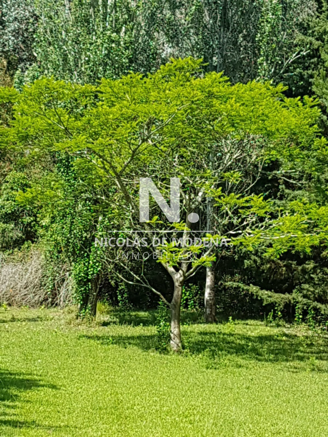 Chacra
