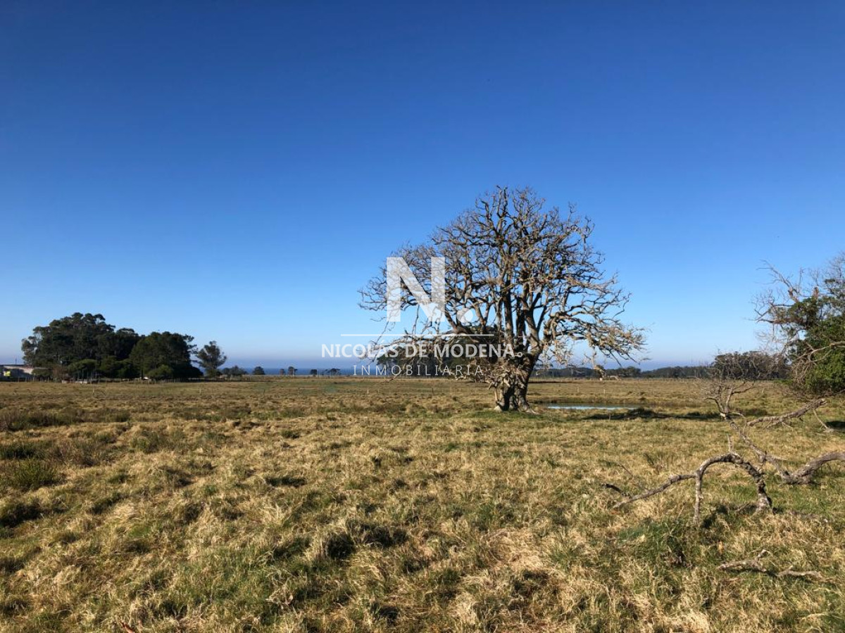 En venta Chacra a solo 8 km del puerto de Garzón. - GoPunta - Portal Inmobiliario de Punta del Este - Maldonado