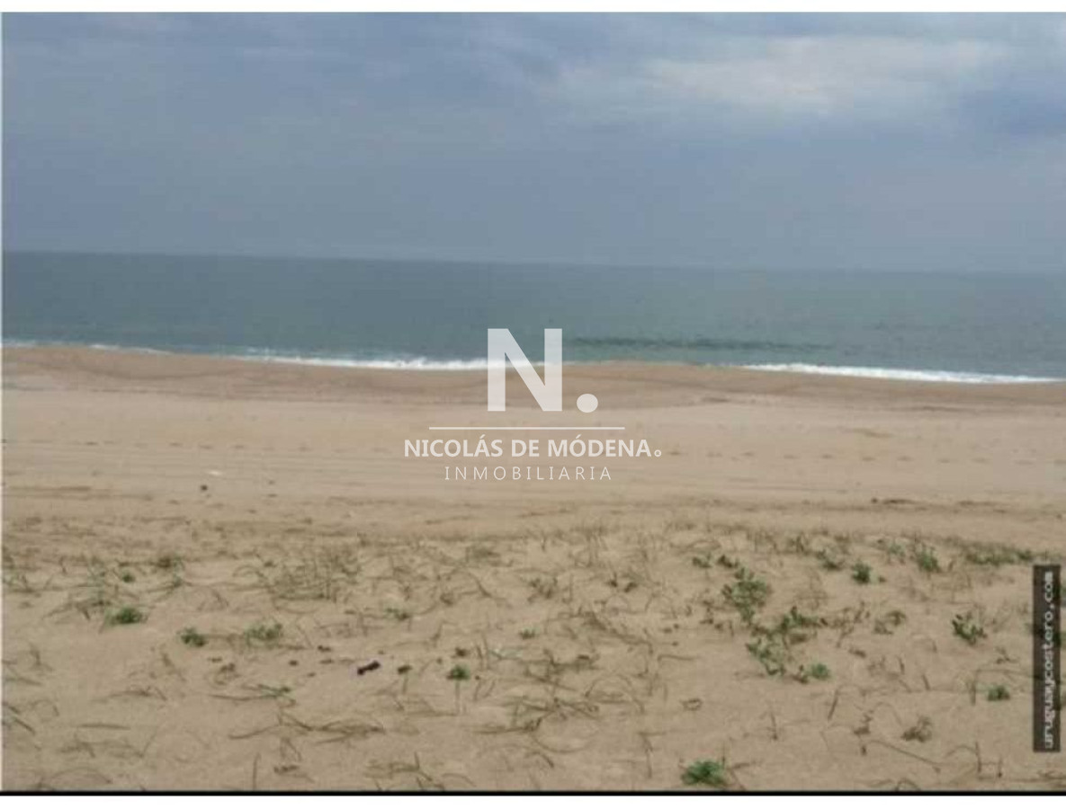 Punta del Este - GoPunta - Portal Inmobiliario de Punta del Este - Maldonado