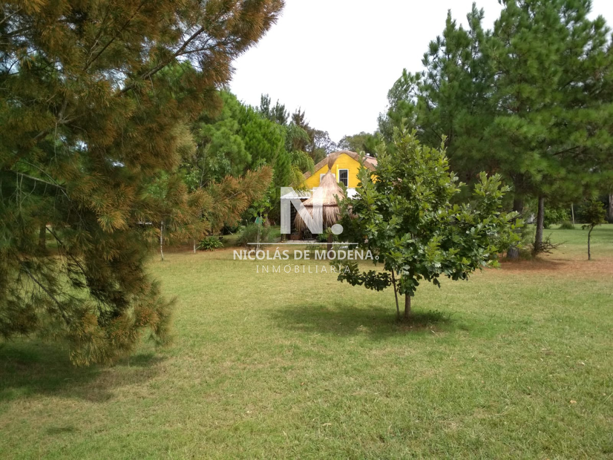 Chacra