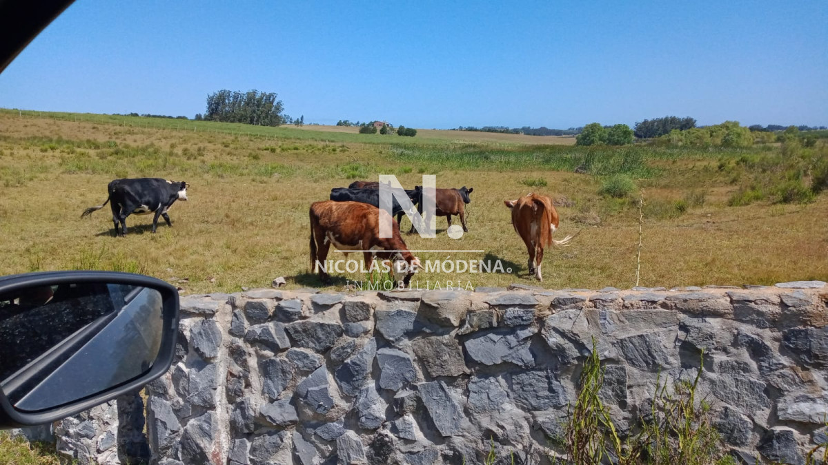 Chacra de 30has en Jose Ignacio - GoPunta - Portal Inmobiliario de Punta del Este - Maldonado