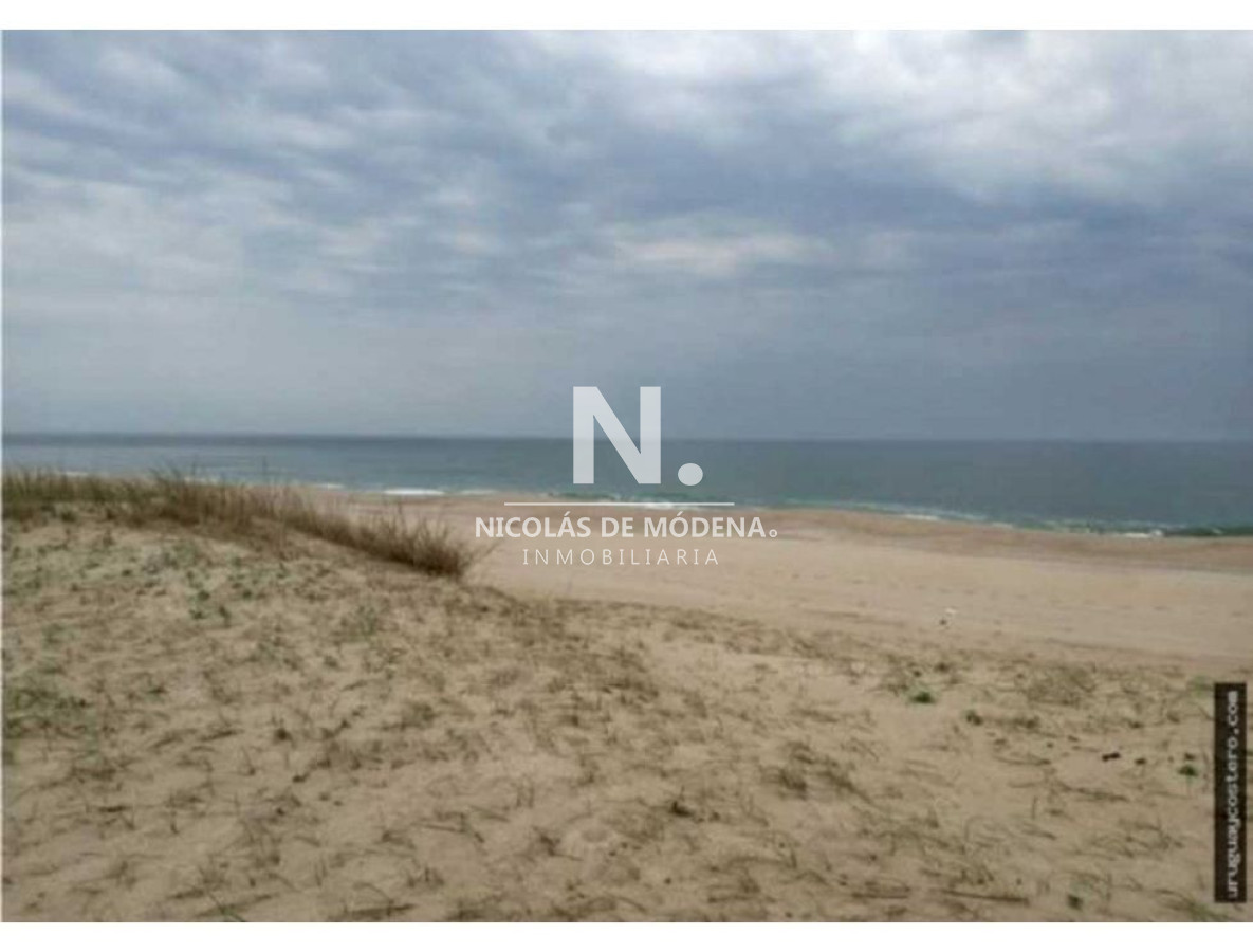 Punta del Este - GoPunta - Portal Inmobiliario de Punta del Este - Maldonado