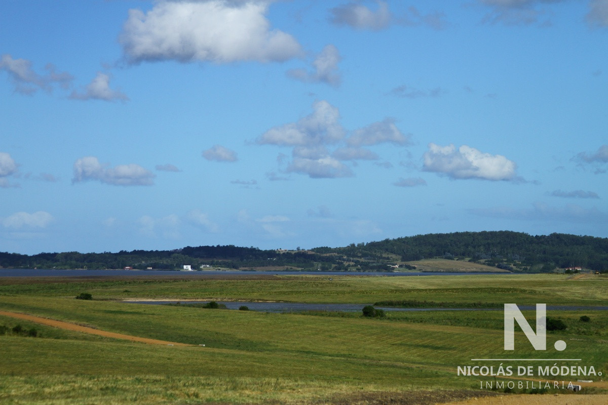 Laguna del Sauce - GoPunta - Portal Inmobiliario de Punta del Este - Maldonado
