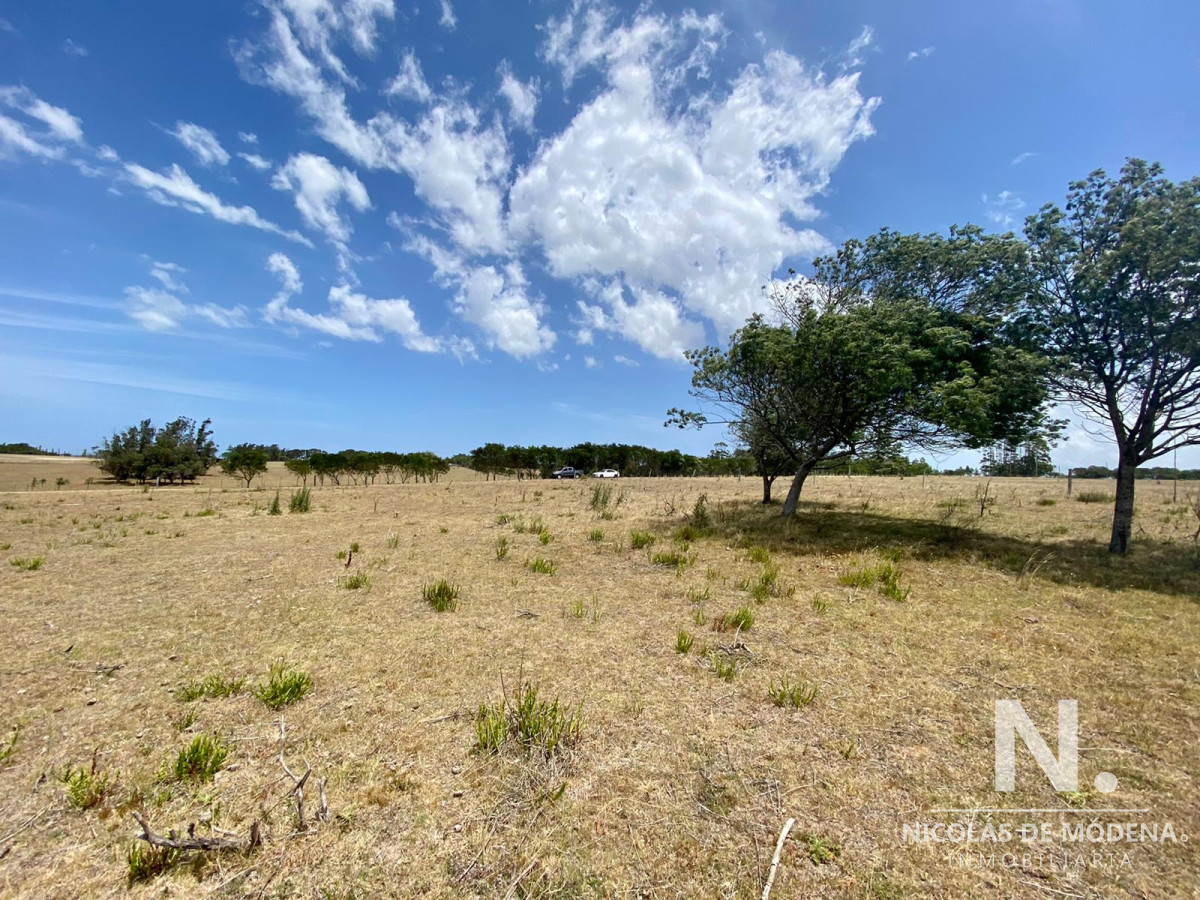 Eden Rock - GoPunta - Portal Inmobiliario de Punta del Este - Maldonado