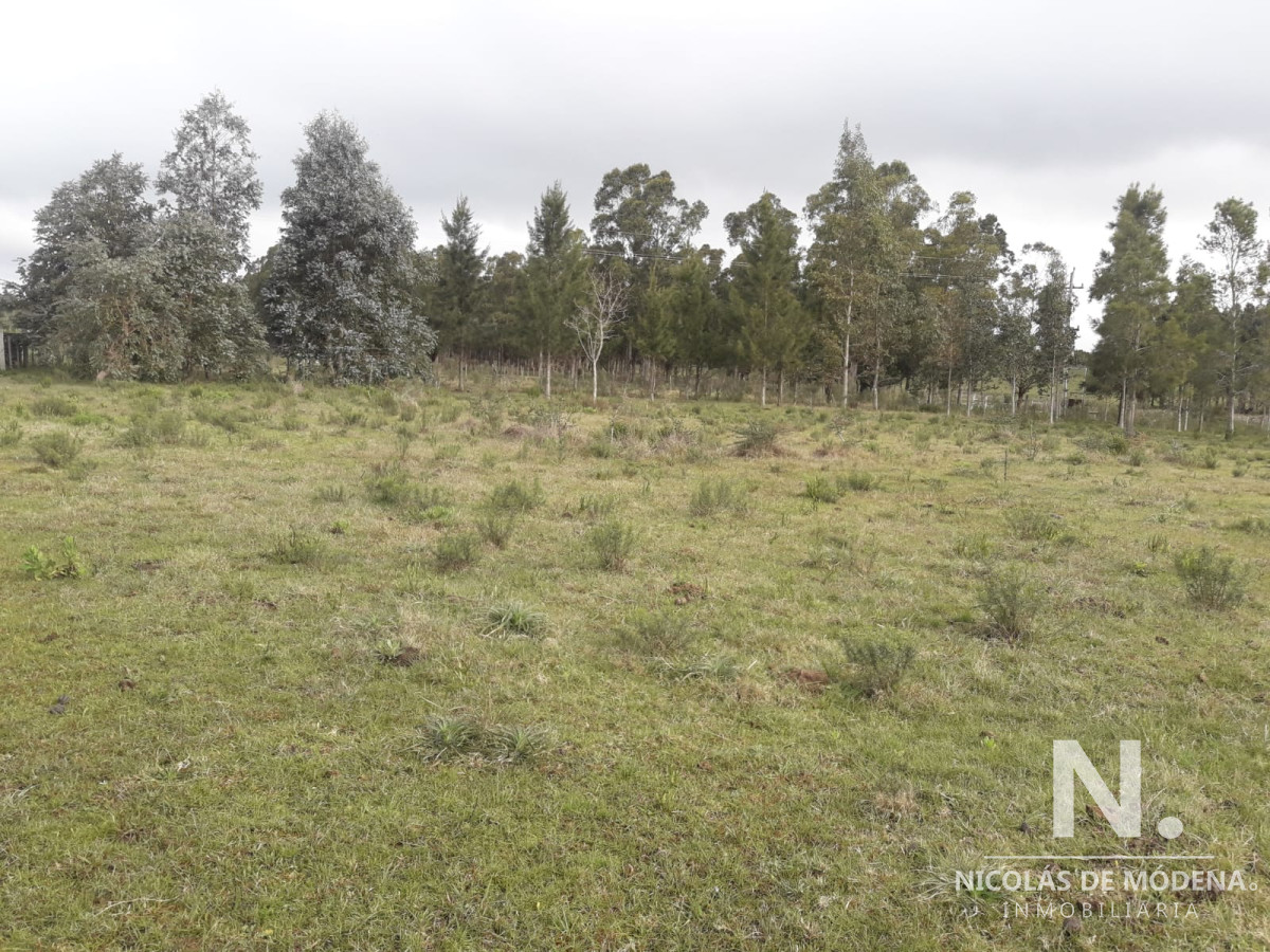 Pueblo Eden - GoPunta - Portal Inmobiliario de Punta del Este - Maldonado