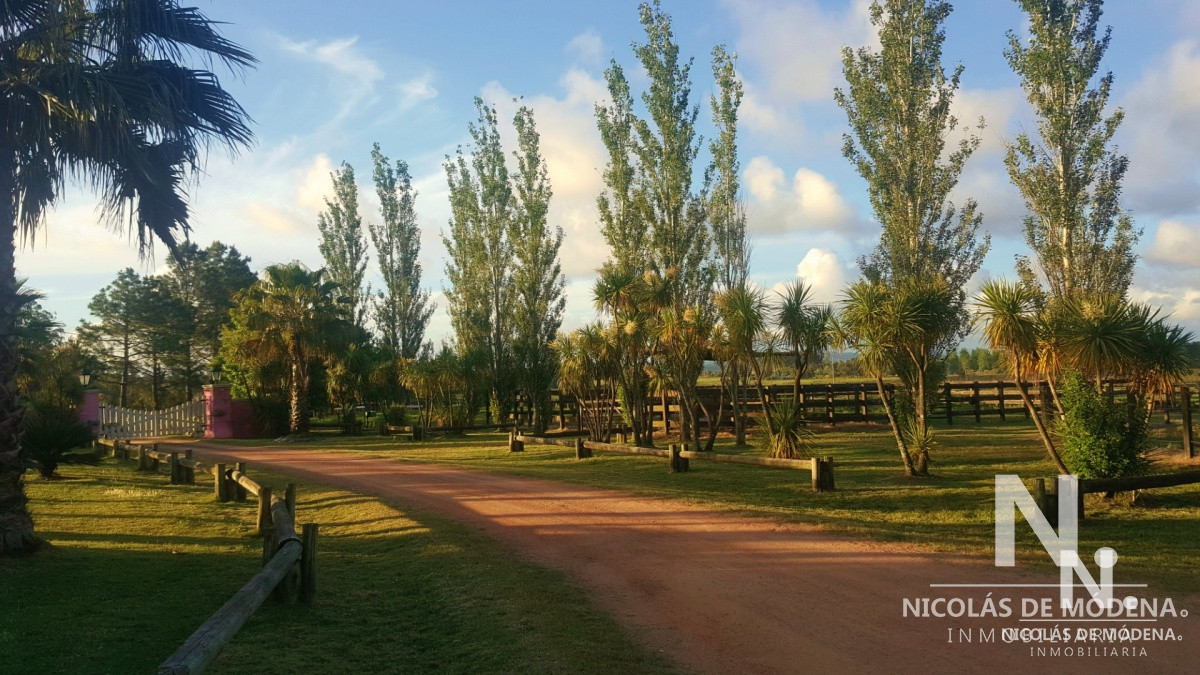 La Pataia - GoPunta - Portal Inmobiliario de Punta del Este - Maldonado