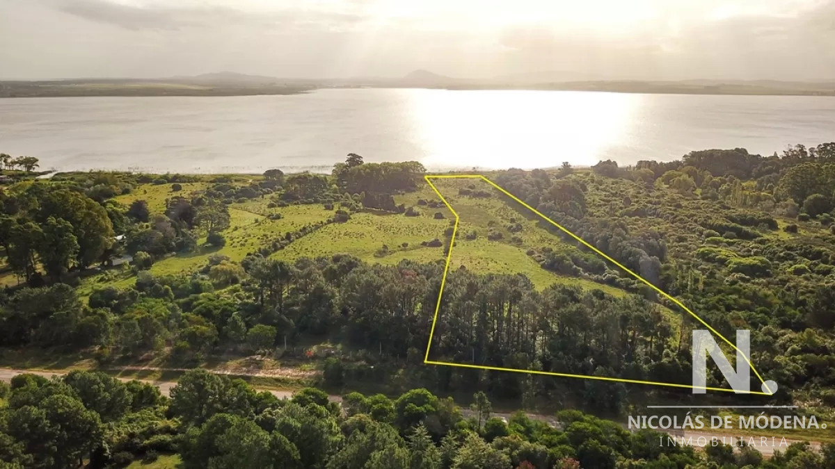 Laguna del Sauce - GoPunta - Portal Inmobiliario de Punta del Este - Maldonado