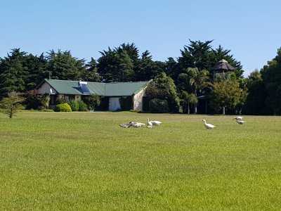 En venta chacra de 6hectareas en Jose Ignacio.