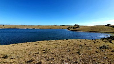 Gran Chacra entre José Ignacio y Garzón.