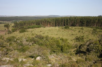 Chacra de 5 has en venta a solo 23 km de Garzon , Maldonado 