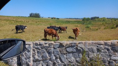 Chacra de 30has en Jose Ignacio 