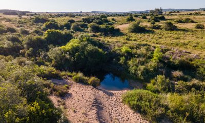 Chacra a 5 minutos de pueblo garzon, Jose Ignacio