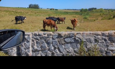 Chacra de 30has en Jose Ignacio