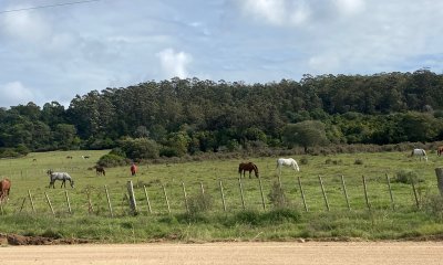 Chacra en La Pataia oportunidad! 28.000mts2