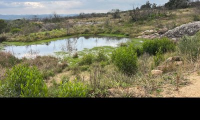 Vende Chacra en Pueblo Eden de 5 has.