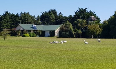 En venta chacra de 6hectareas en Jose Ignacio.