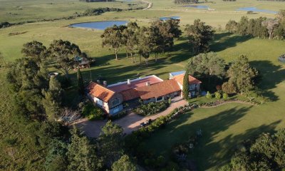 Espectacular chacra en venta y alquiler de verano en Jose Ignacio