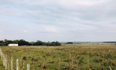 Chacra en venta de 8 hectareas en Garzon, Maldonado