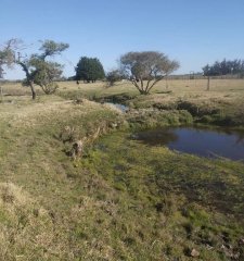 En venta chacra en Abra Perdomo, Maldonado