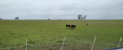 en venta campo en treinta y tres, ubicado a 12 kilómetros de vergara - ndm21823p