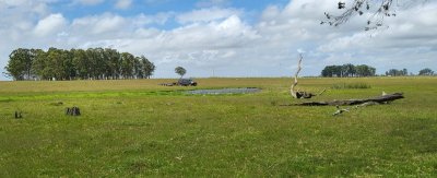 en venta campo en treinta y tres, ubicado a 12 kilómetros de vergara - ndm21823p