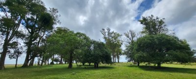 en venta campo en treinta y tres, ubicado a 12 kilómetros de vergara - ndm21823p