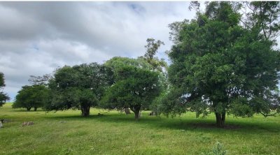 en venta campo en treinta y tres, ubicado a 12 kilómetros de vergara - ndm21823p