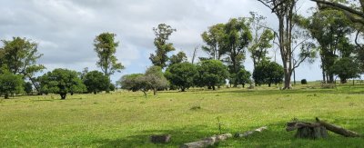 en venta campo en treinta y tres, ubicado a 12 kilómetros de vergara - ndm21823p