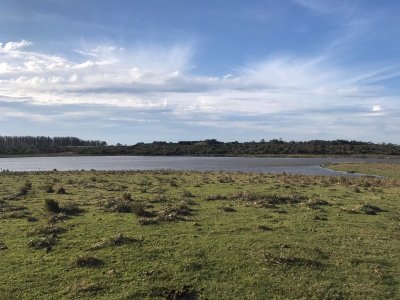 campo en josé ignacio - ndm7795p
