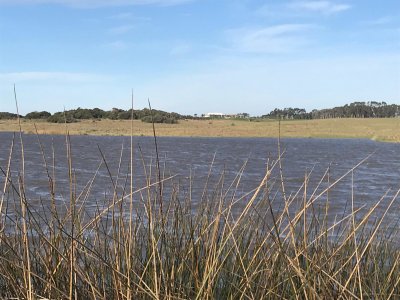 campo en josé ignacio - ndm7795p