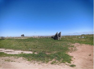 vende campo de 2 padrones en treinta y tres. - ndm23122p