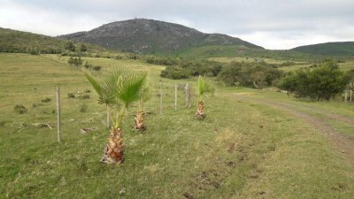 gran oportunidad de campo. - ndm8367p