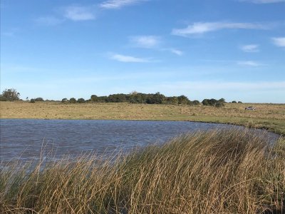 campo en josé ignacio - ndm7795p