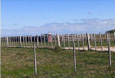 vende campo de 2 padrones en treinta y tres. - ndm23122p