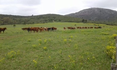 gran oportunidad de campo. - ndm8367p