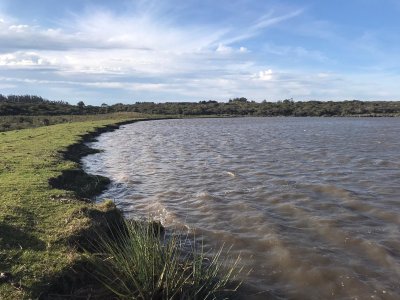 campo en josé ignacio - ndm7795p