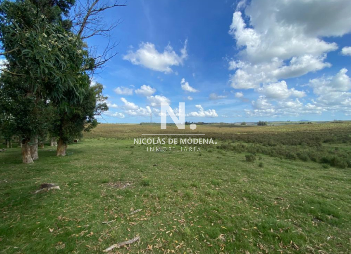 Venta de campo en Laguna del Sauce de 112 has. - NDM26973P