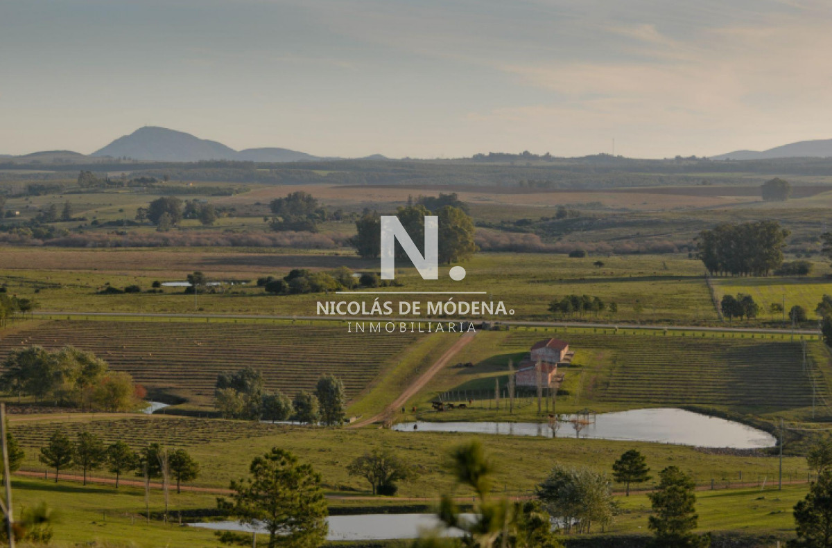 Vende campo en Laguna del Sauce, Maldonado. - NDM26974P