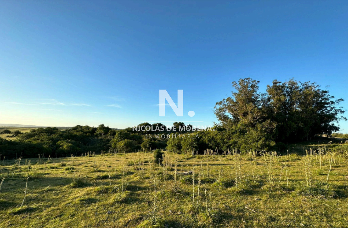 Campo
