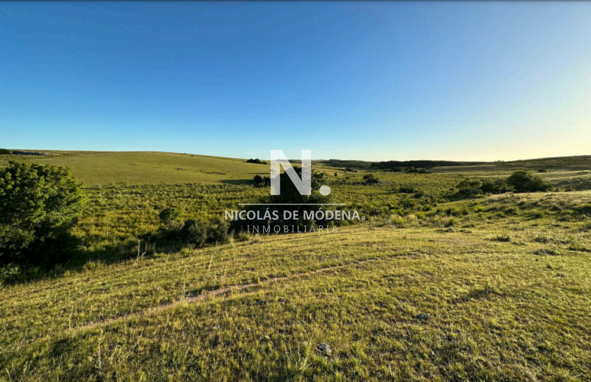 Campo