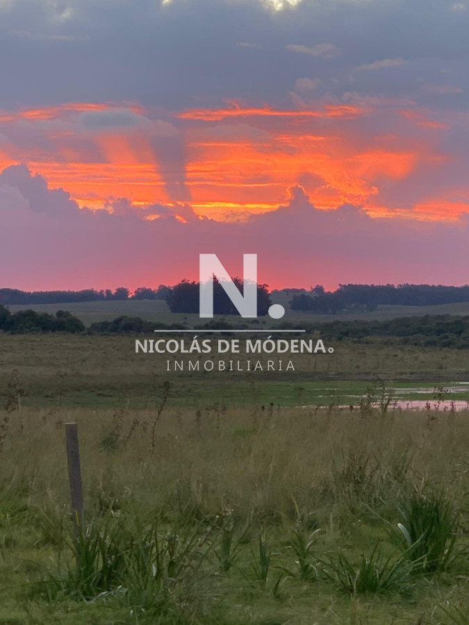 En venta campo en Jose Ignacio de 8 Has - NDM28853P
