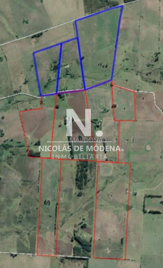 Campo
