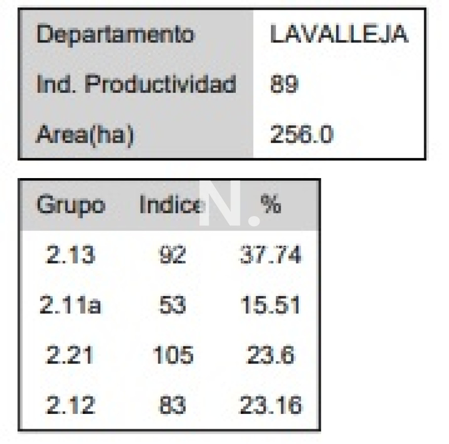 Campo