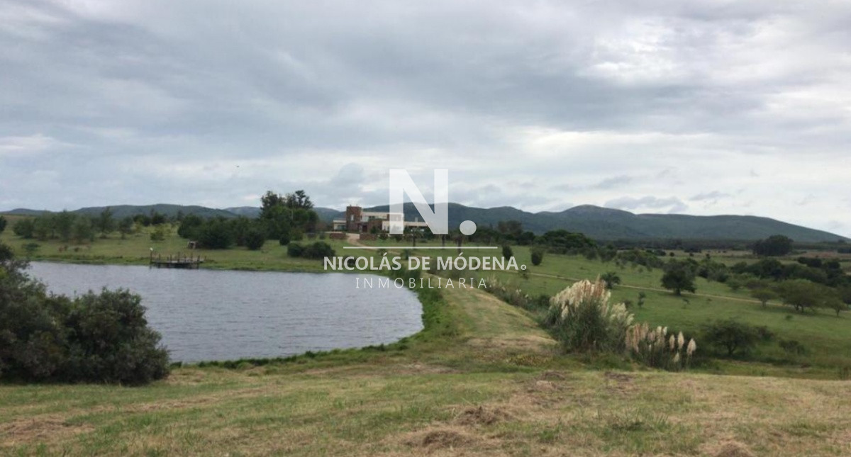 Campo