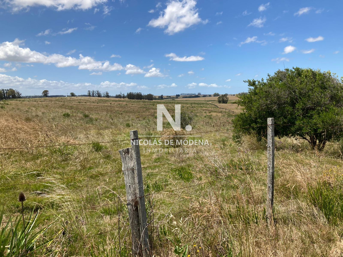 Campo en venta de 10 hectáreas. - NDM4003P