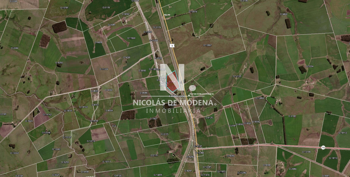 Campo de 10.5 Ha bien logistico en florida - NDM28578P