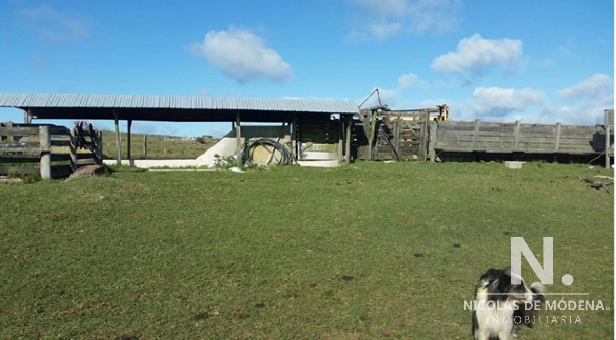 En venta campo tipo criador en Montevideo   Treinta y Tres - GoPunta - Portal Inmobiliario de Punta del Este - Maldonado