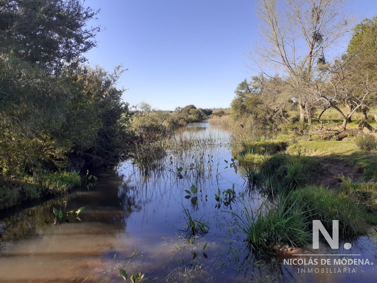Campo de 31 has proximo a Ruta - GoPunta - Portal Inmobiliario de Punta del Este - Maldonado